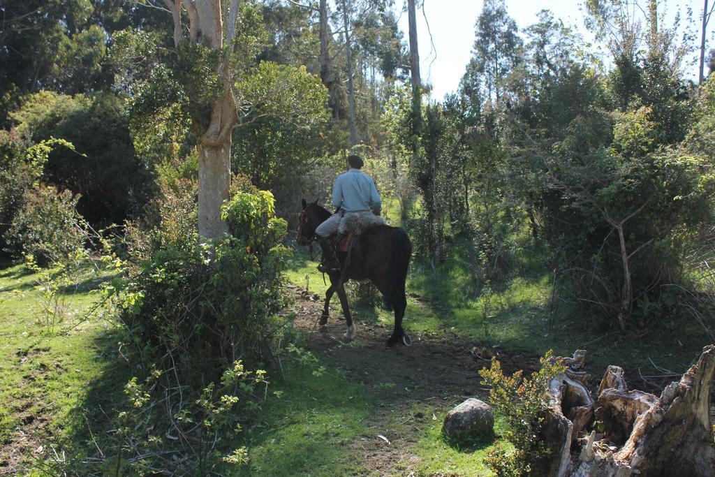 Refugio Pullao Hotel Quilquico Bagian luar foto